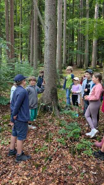 pxl_20250617_072722935