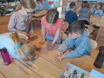 img-20250402-wa0004